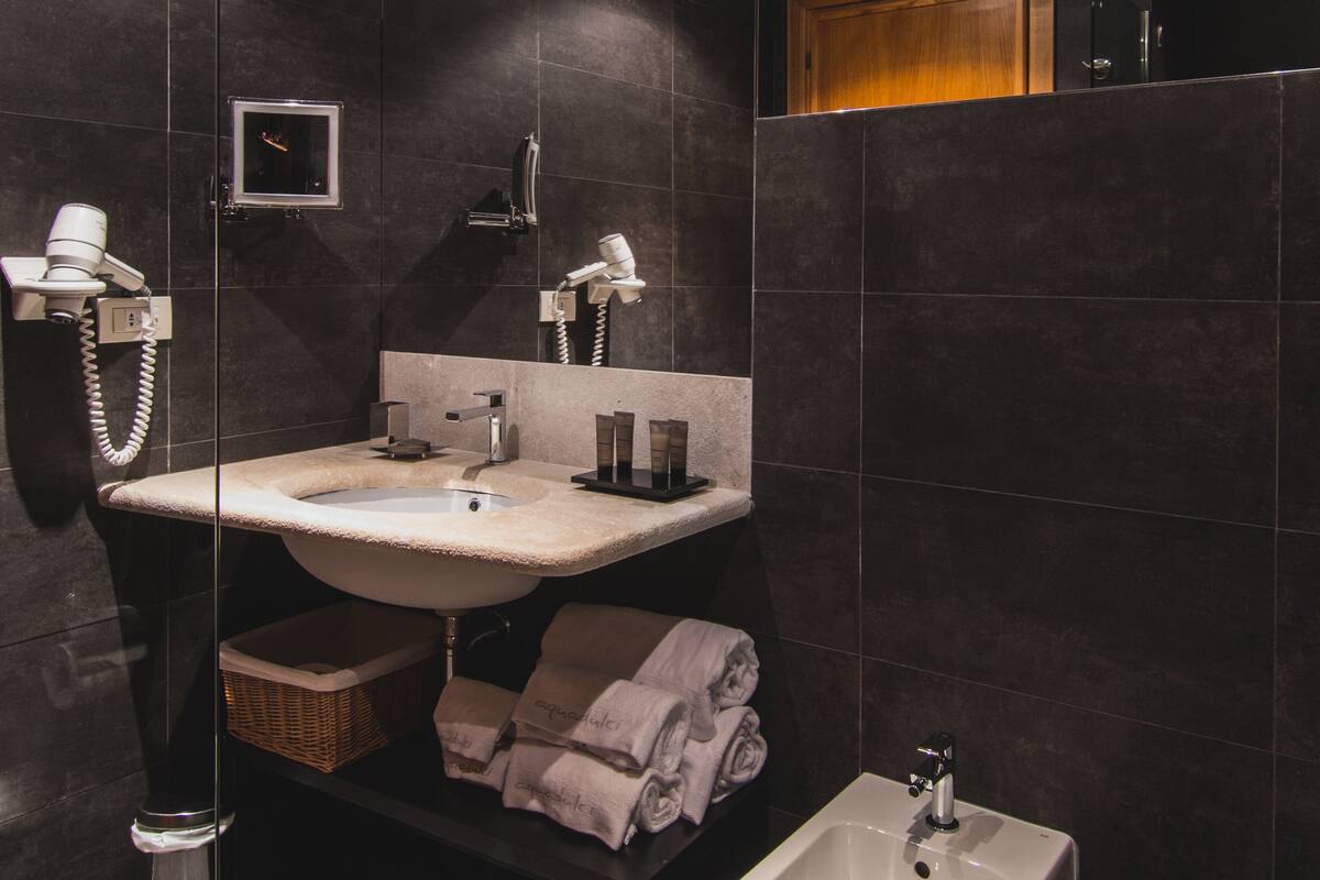 shower, free toiletries, hair dryer, towels