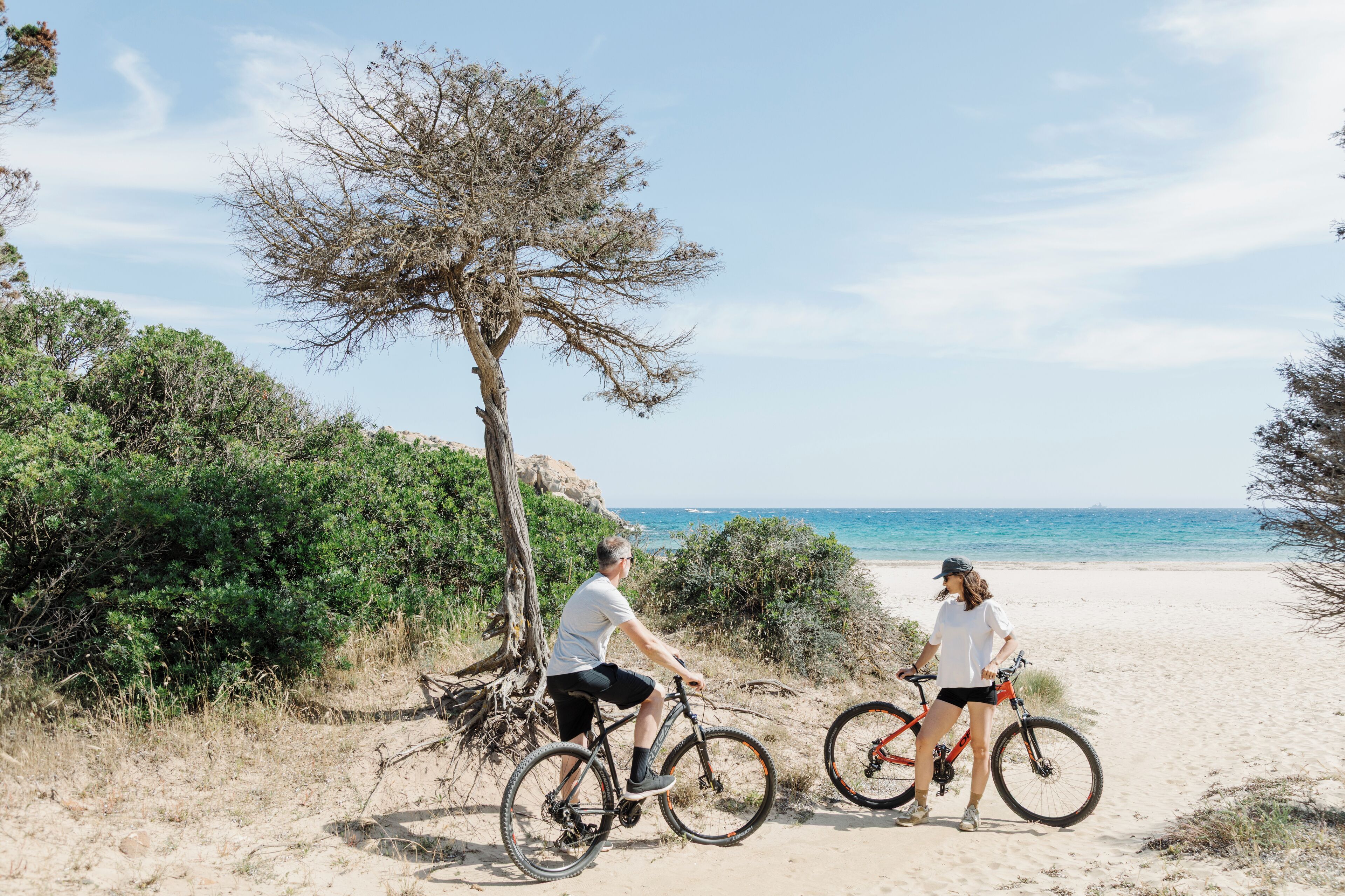 Twee personen op het strand met fietsen, een boom en de oceaan op de achtergrond.