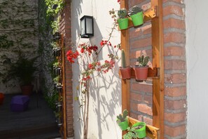 Tuin