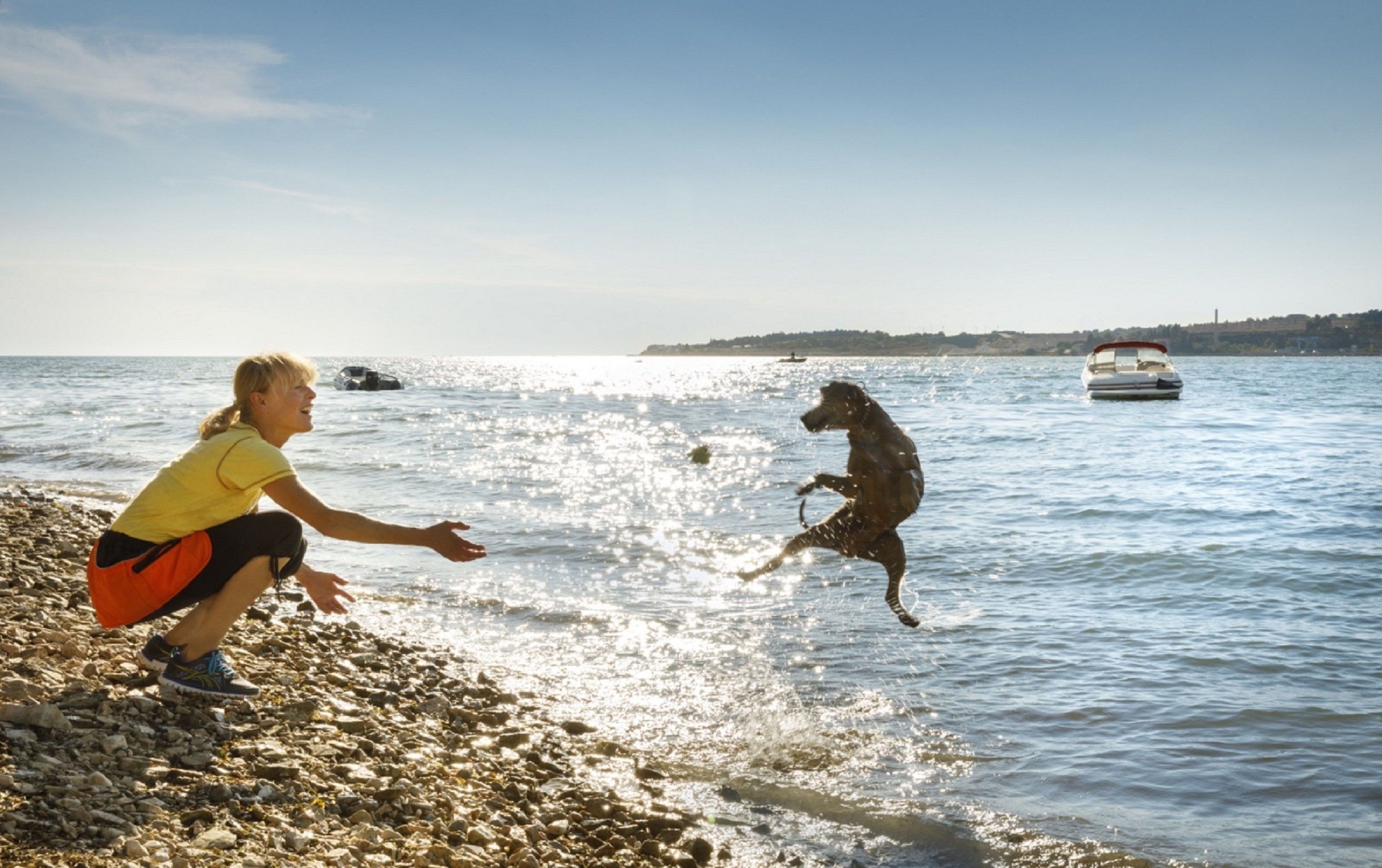 Una persona gioca con un cane vicino all'acqua, con una barca sullo sfondo e un litorale roccioso.