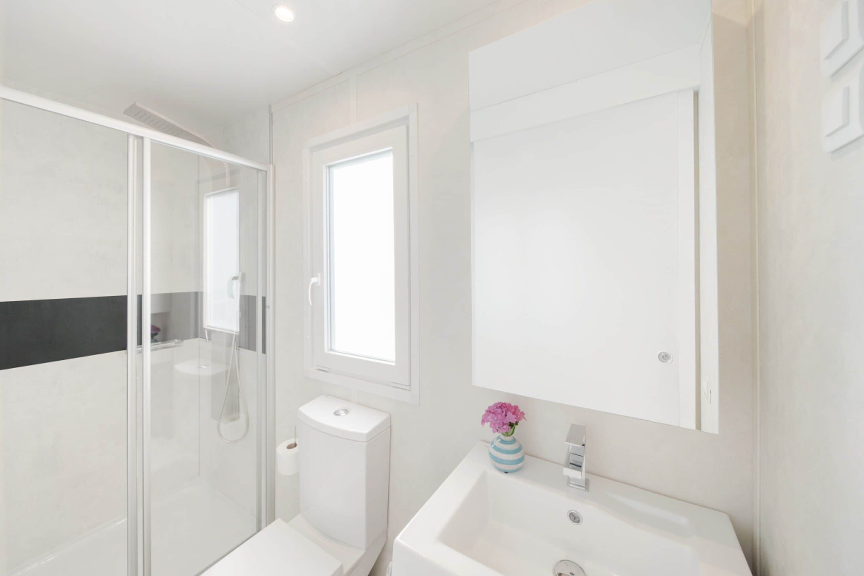 A modern bathroom with a glass shower enclosure, a toilet, a sink with a vase of flowers, and a large mirror.