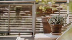 Une terrasse en bois avec des chaises longues et des plantes en pot.