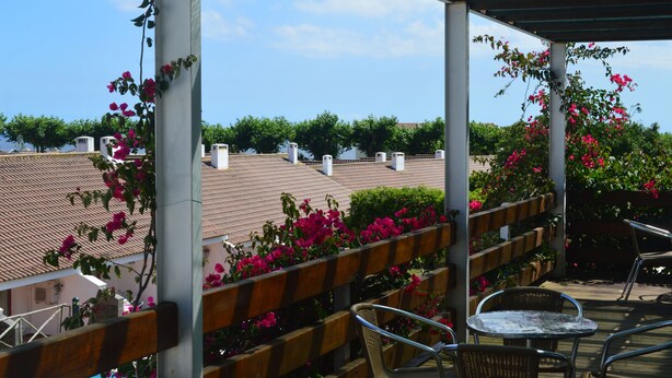 A covered outdoor seating area with wicker chairs and a table, surrounded by flowering plants and a view of buildings in the background. - Apartamentos Turísticos Nossa Senhora da Estrela (Lagoa)