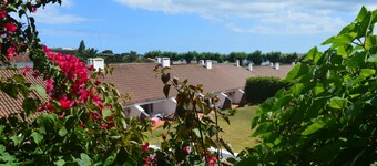 Apartamentos Turísticos Nossa Senhora da Estrela