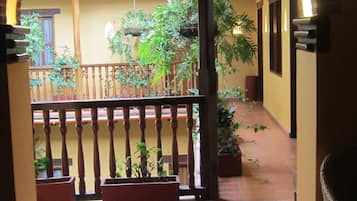 Vista desde la habitación