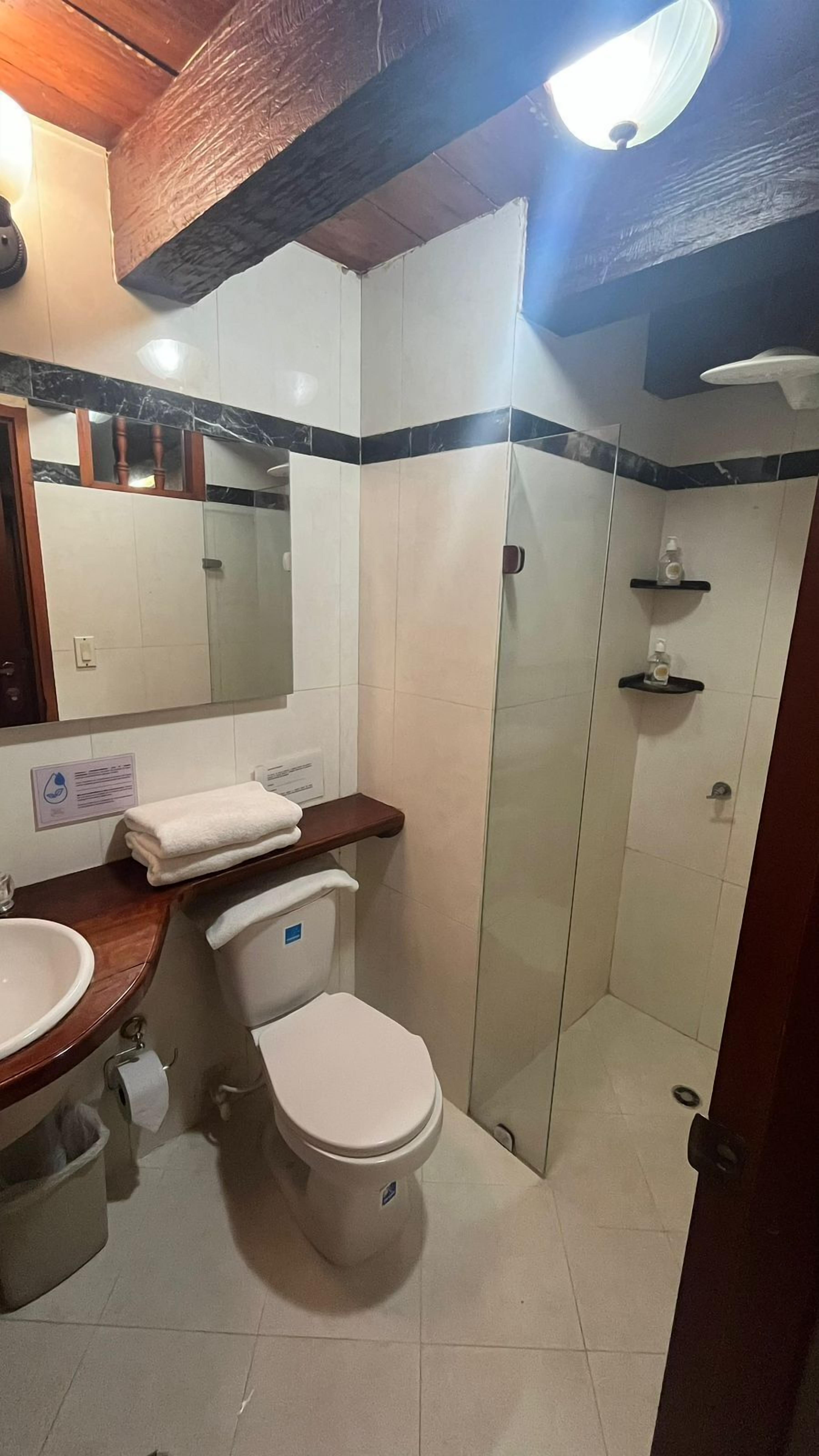 economy room | bathroom | shower, hair dryer, towels