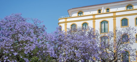 Front of property. Loule Jardim Hotel