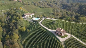 Weingut