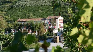 Área da propriedade