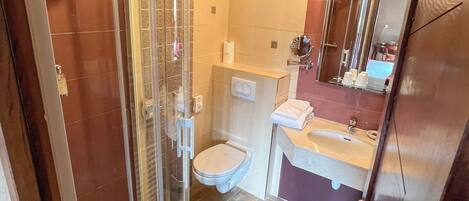 A bathroom with a glass-enclosed shower, a toilet, and a sink with a mirror above it.