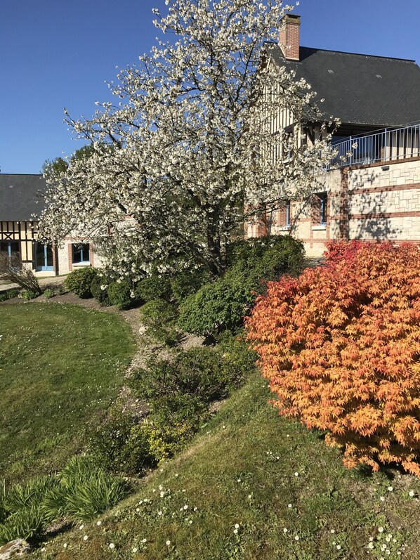 Un edificio con fachada de ladrillo y un gran árbol con flores blancas en primer plano.