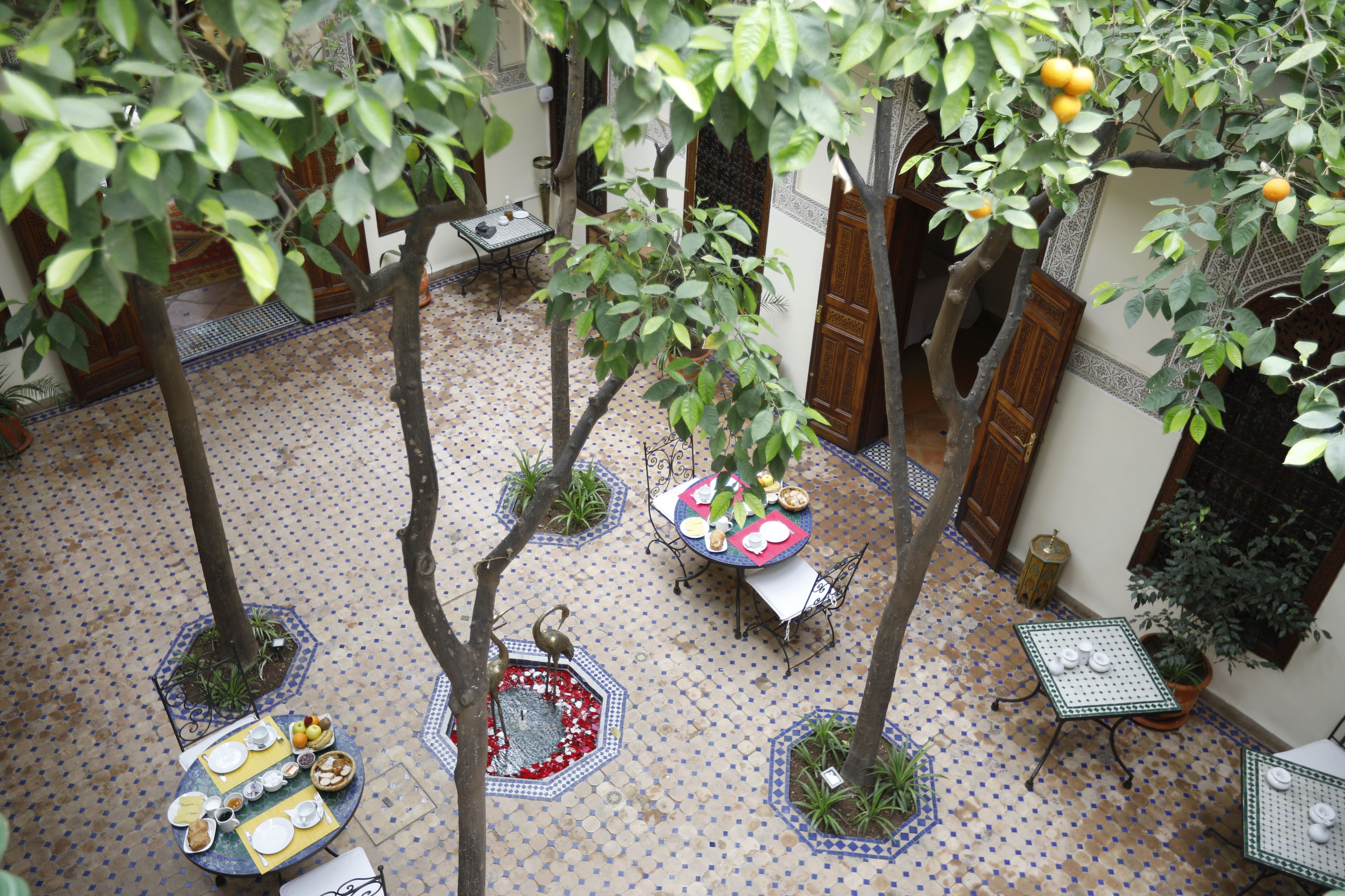 An outdoor courtyard with tiled flooring, potted plants, and tables set up for dining.