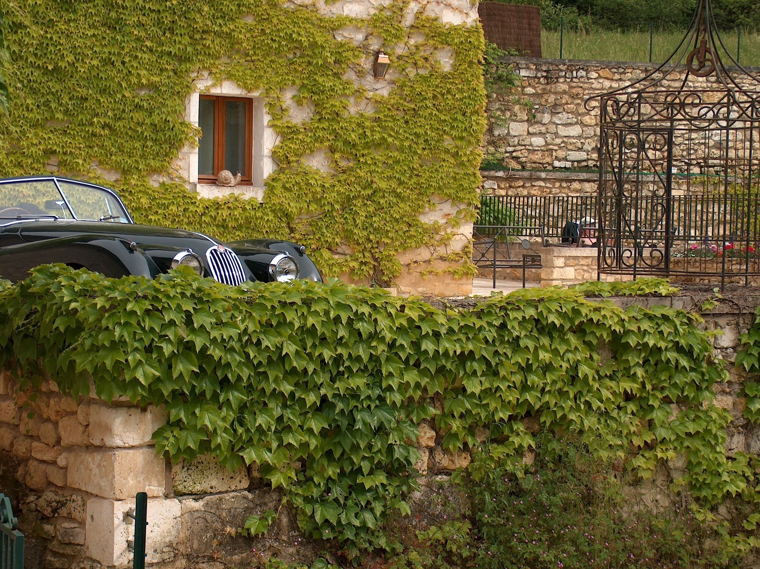 A stone building with ivy-covered walls, a small window, and a metal gate.