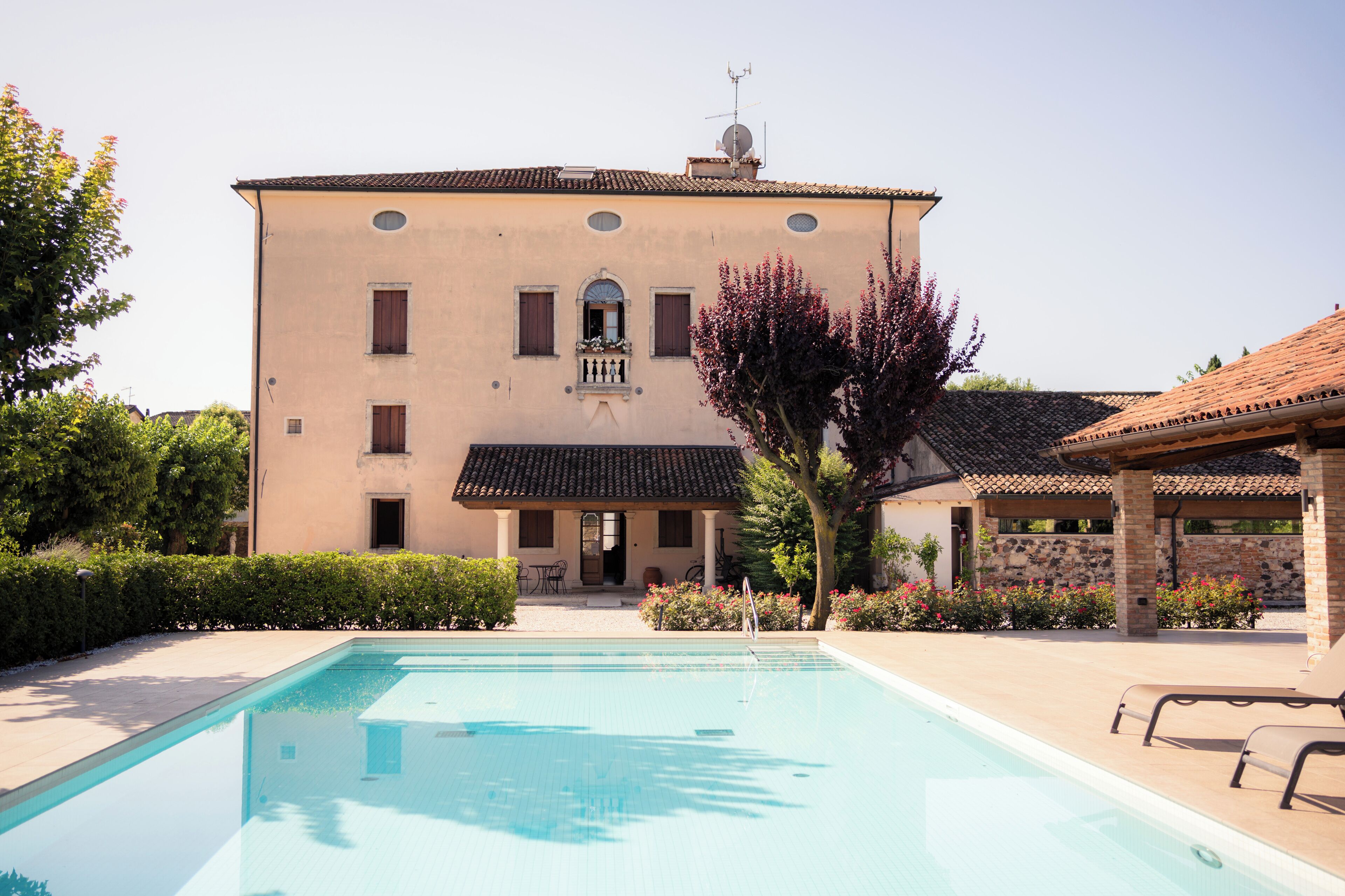 Un bâtiment doté d’une piscine, d’un patio couvert et d’un jardin avec un arbre.