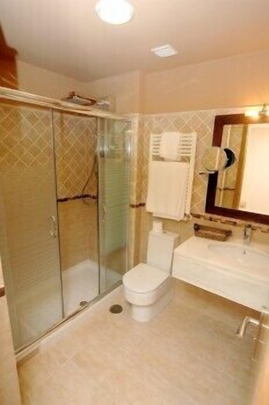 hydromassage showerhead, hair dryer, towels