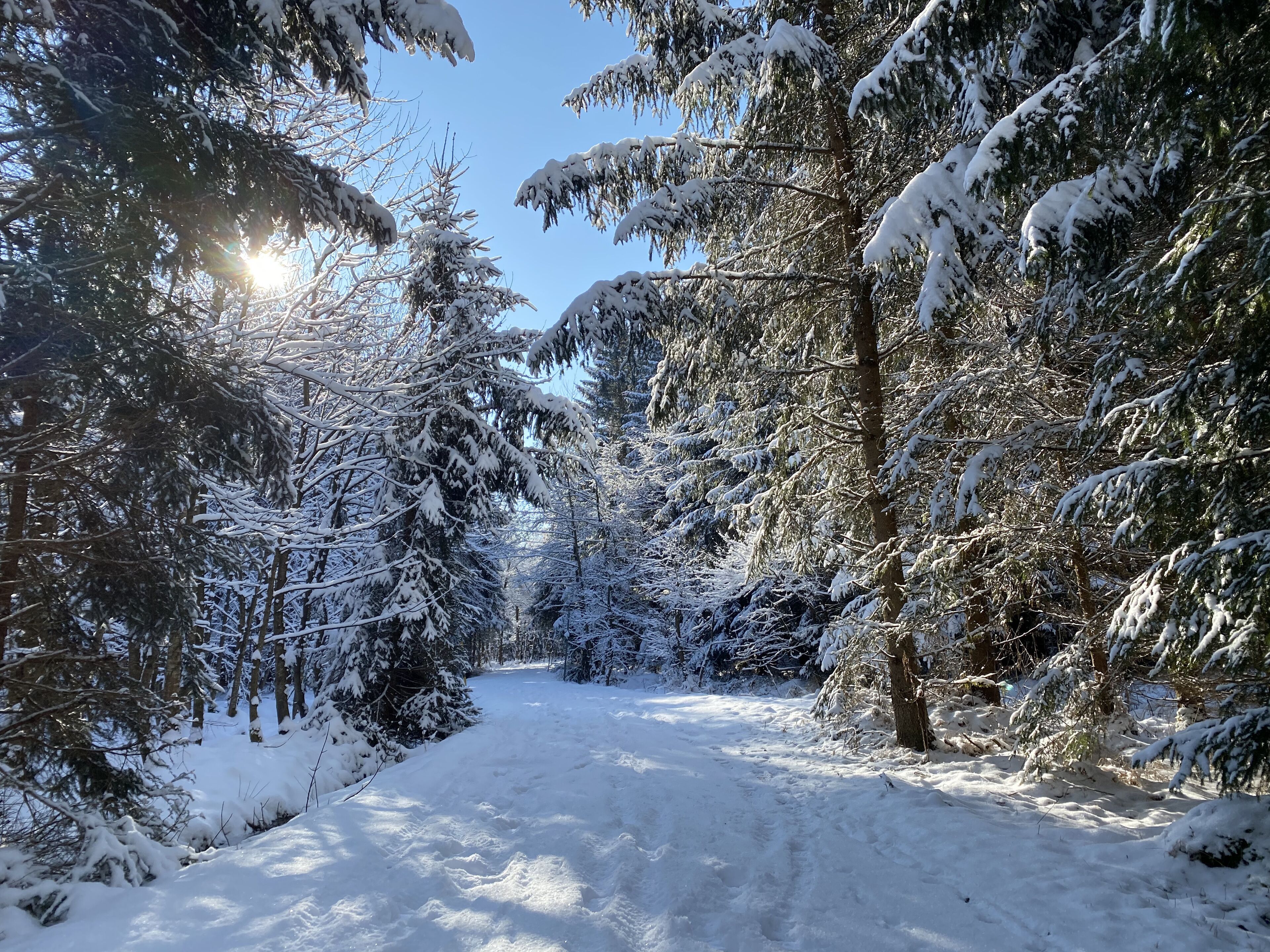 Foto - Hotel Bayernwinkel - Yoga & Ayurveda