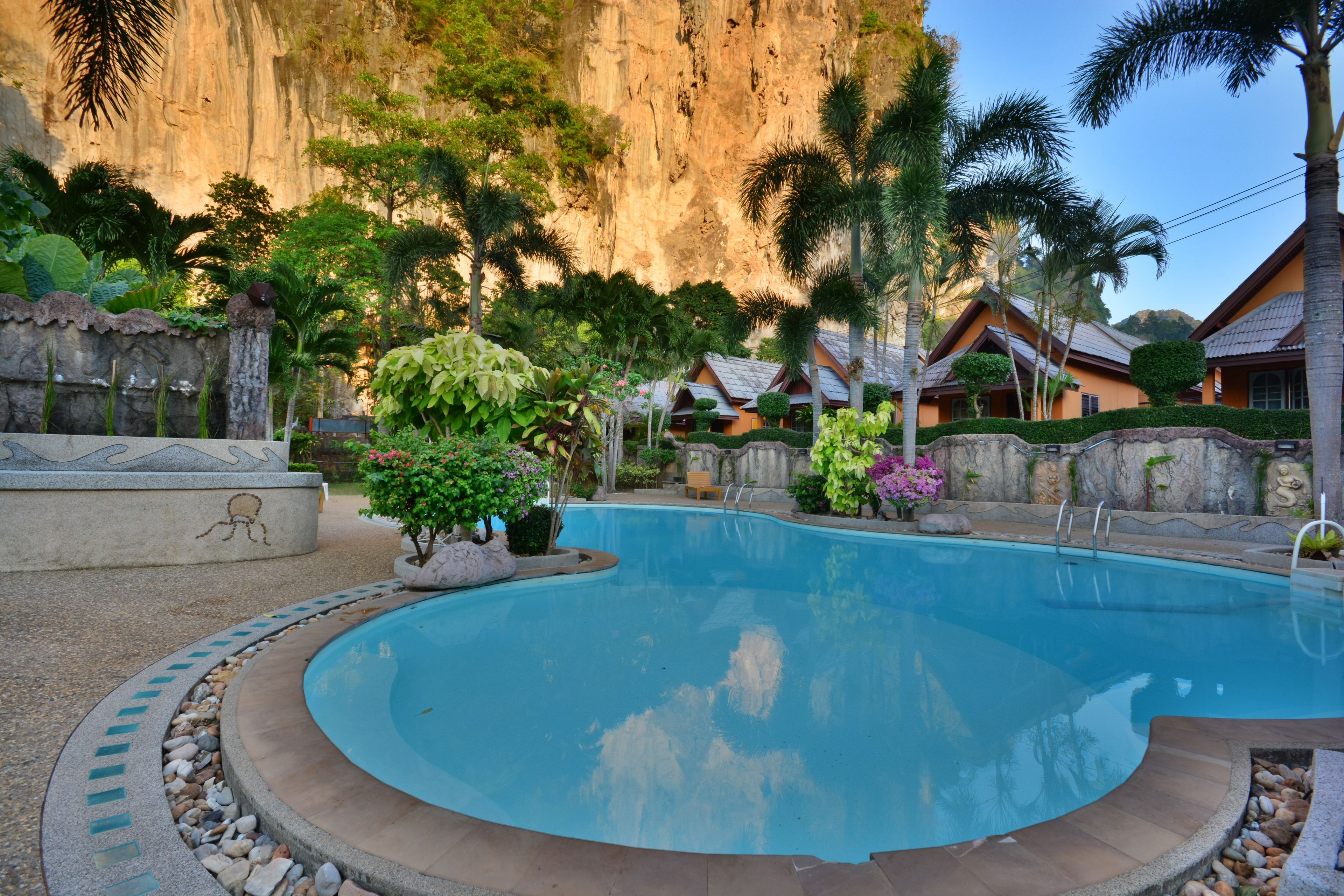 A swimming pool surrounded by tropical plants and a stone wall.