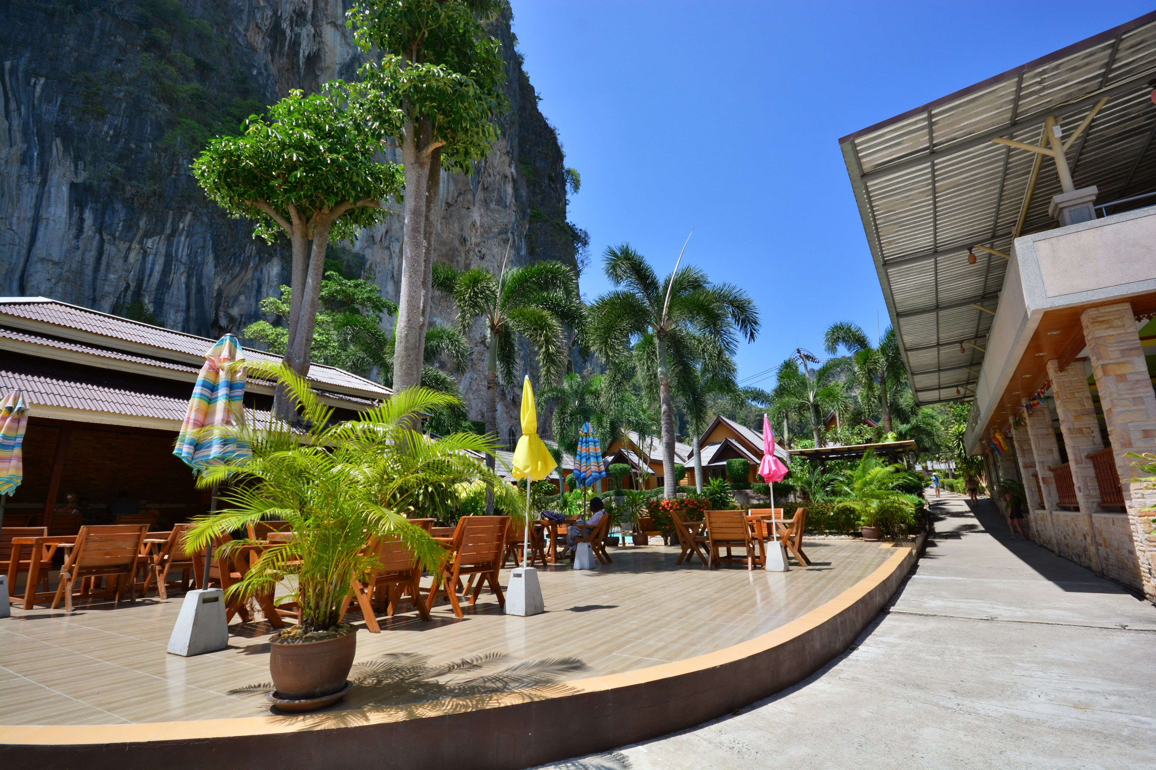 An outdoor seating area with wooden chairs and tables, surrounded by palm trees and a mountain backdrop.