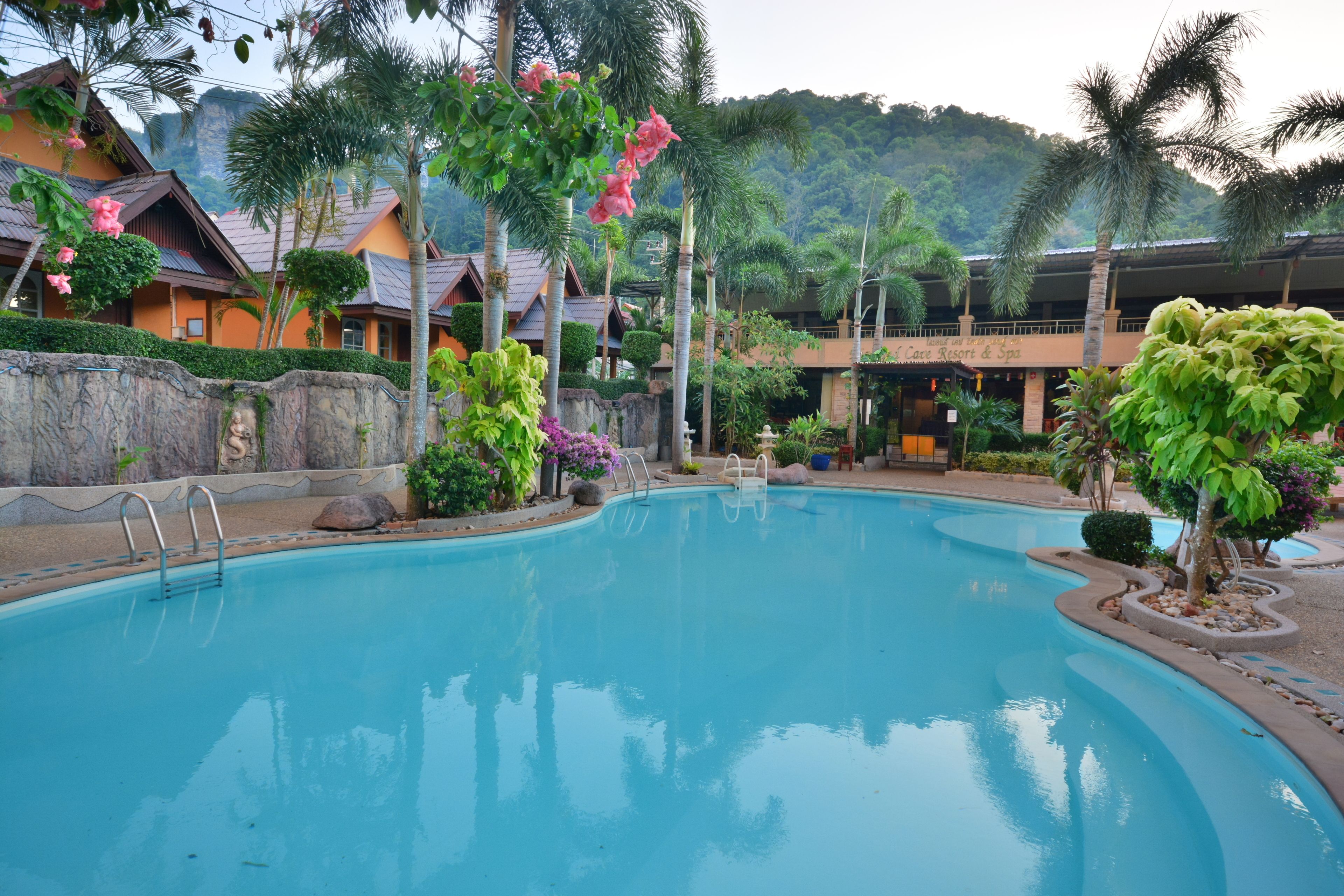 A swimming pool with a clear blue water, surrounded by tropical plants and palm trees.