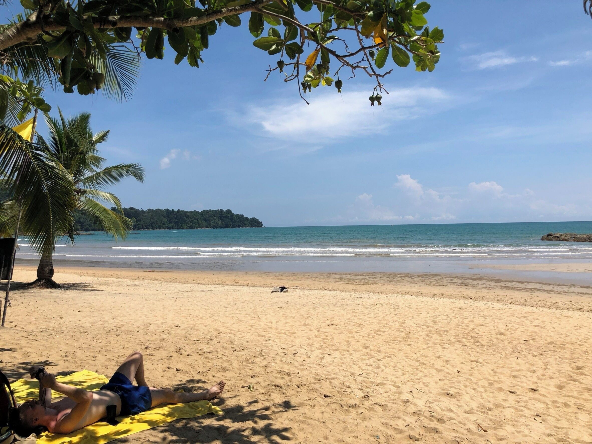 Foto - Palm Galleria Resort