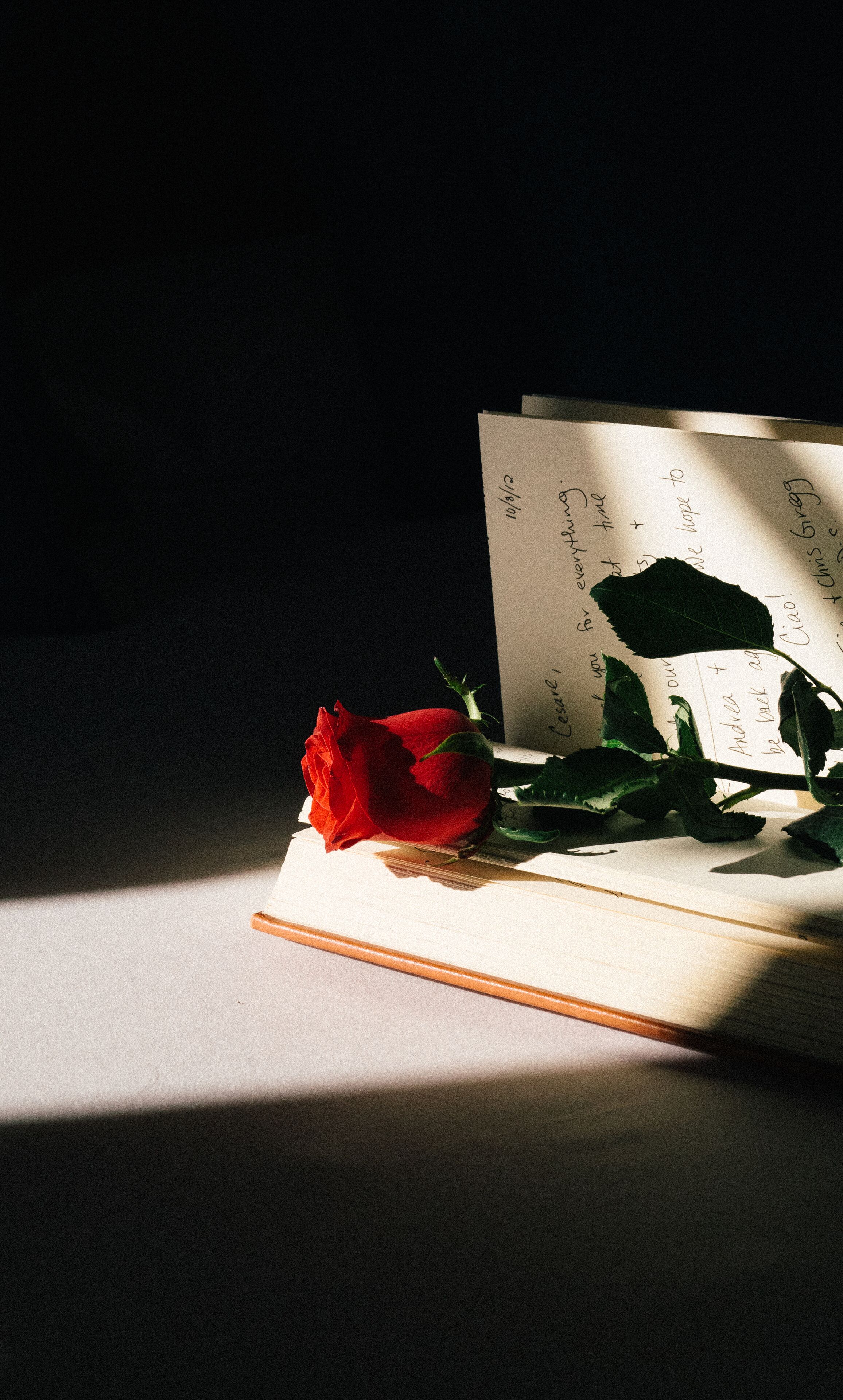 Photo - Murano Palace