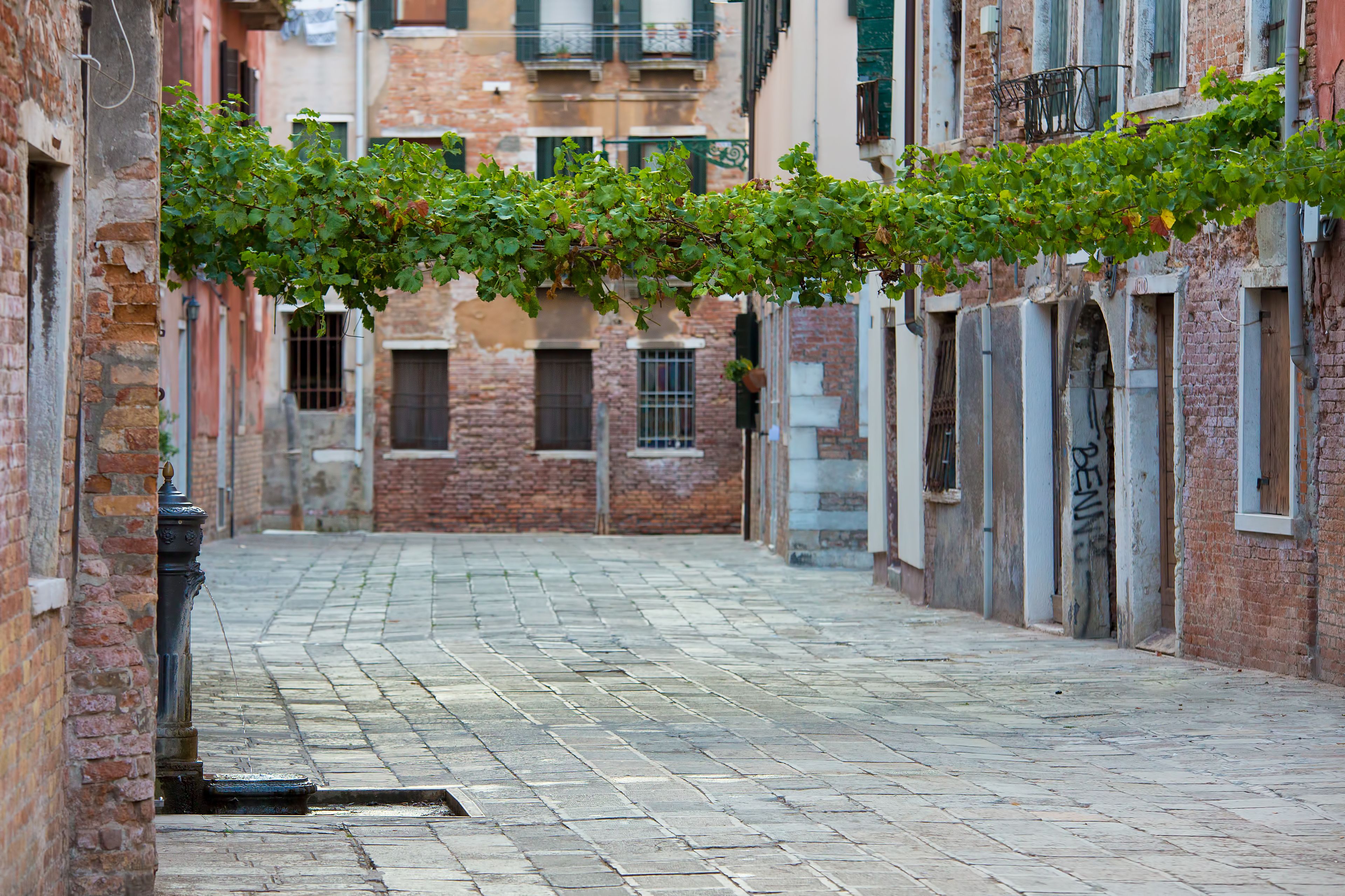 Foto - Alla Vite Dorata