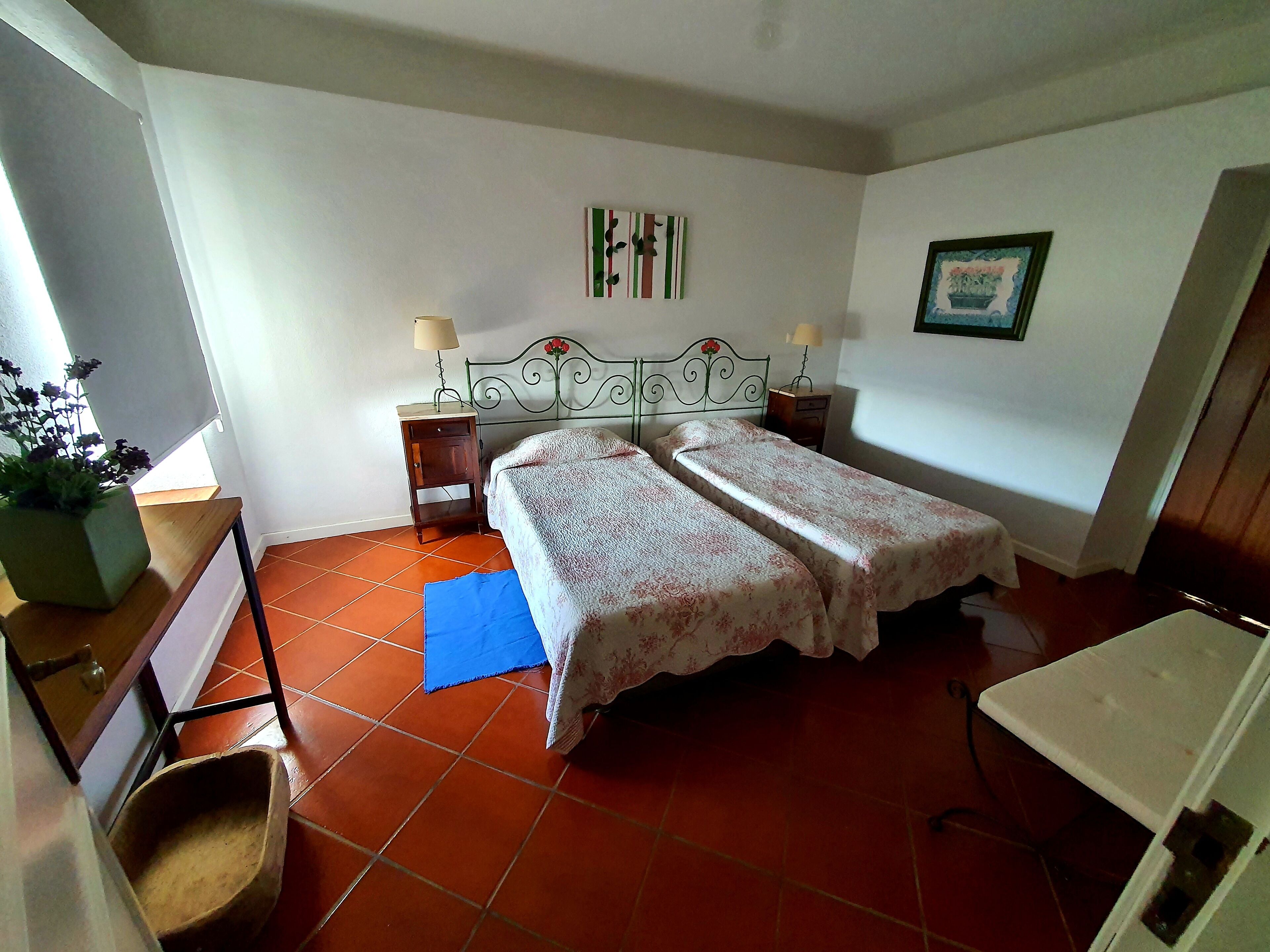 Une chambre avec deux lits, une table de chevet, une lampe, une plante en pot et une petite table.