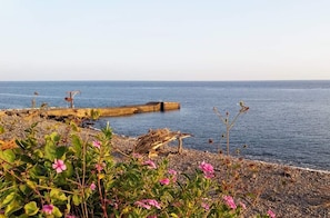 Plage à proximité, cabana (gratuite), chaise longue, parasol