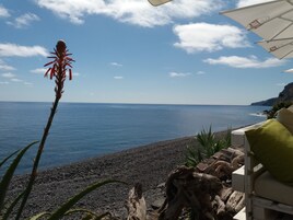 Se sirven almuerzos y cenas; cocina regional; con vista a la playa