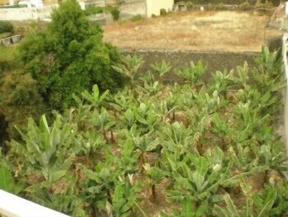 فنادق بتصنيف نجوم (2)