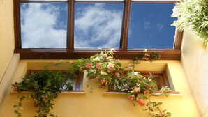 Un edificio con fachada amarilla, varias ventanas y plantas en macetas.