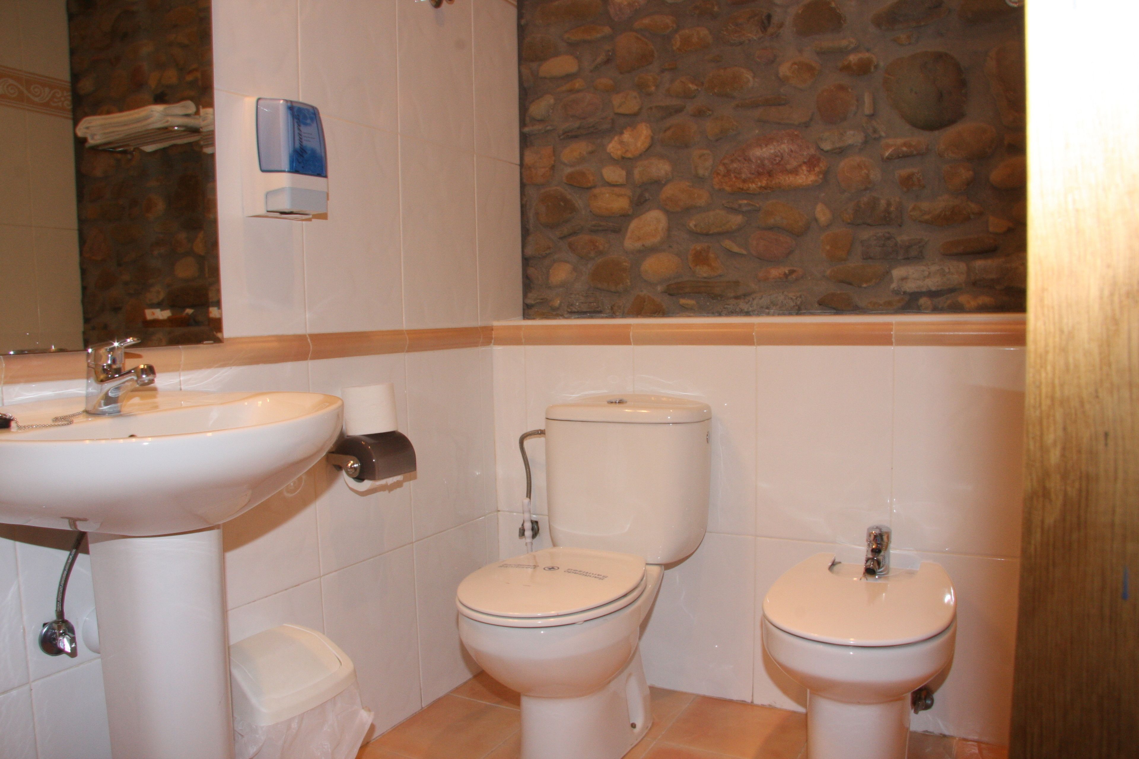 combined shower/bathtub, free toiletries, hair dryer, bidet