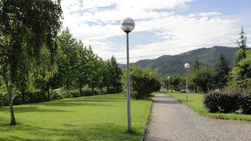 Un sendero de grava bordeado por árboles y farolas en un parque.