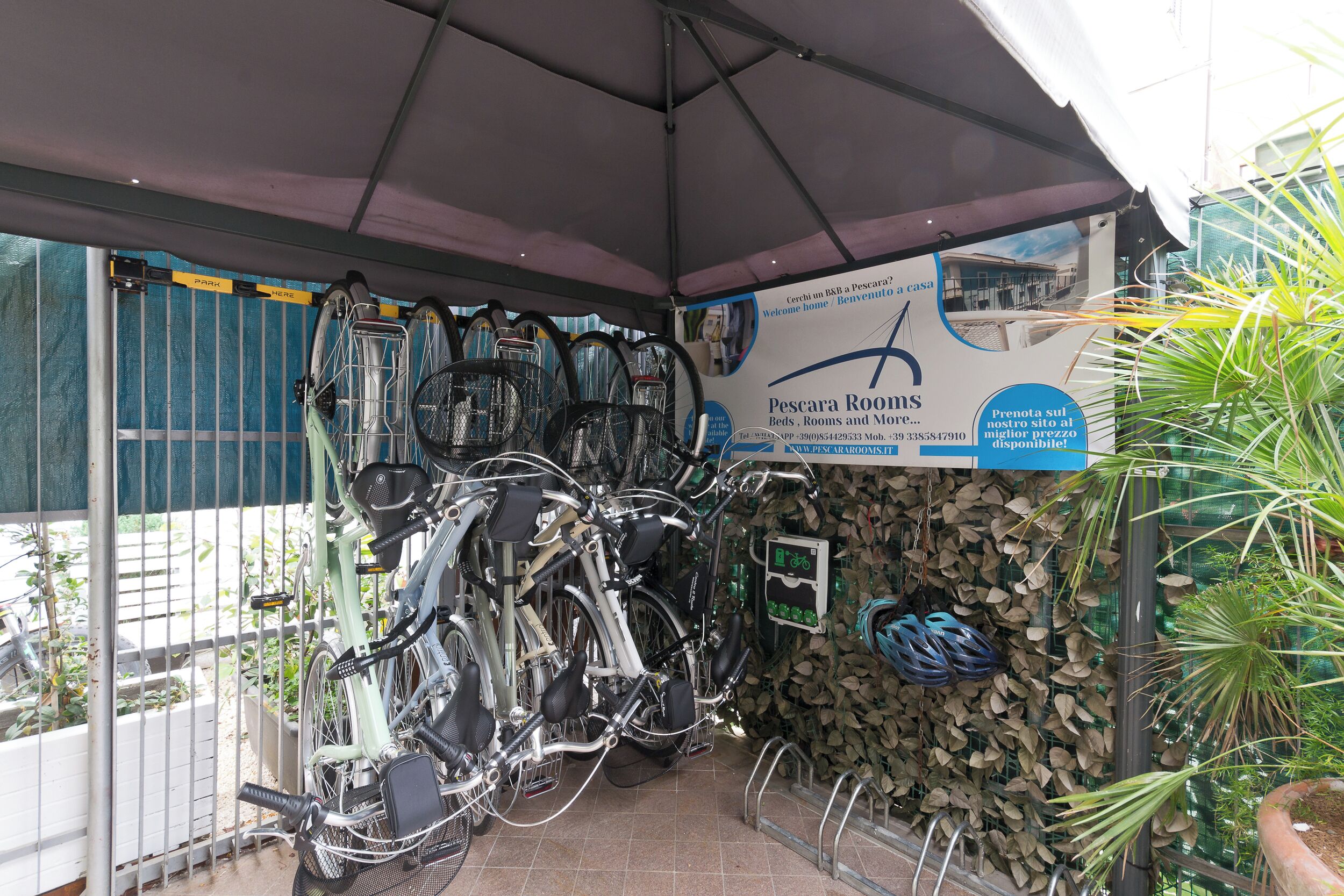 Photo - Bella Pescara B&B