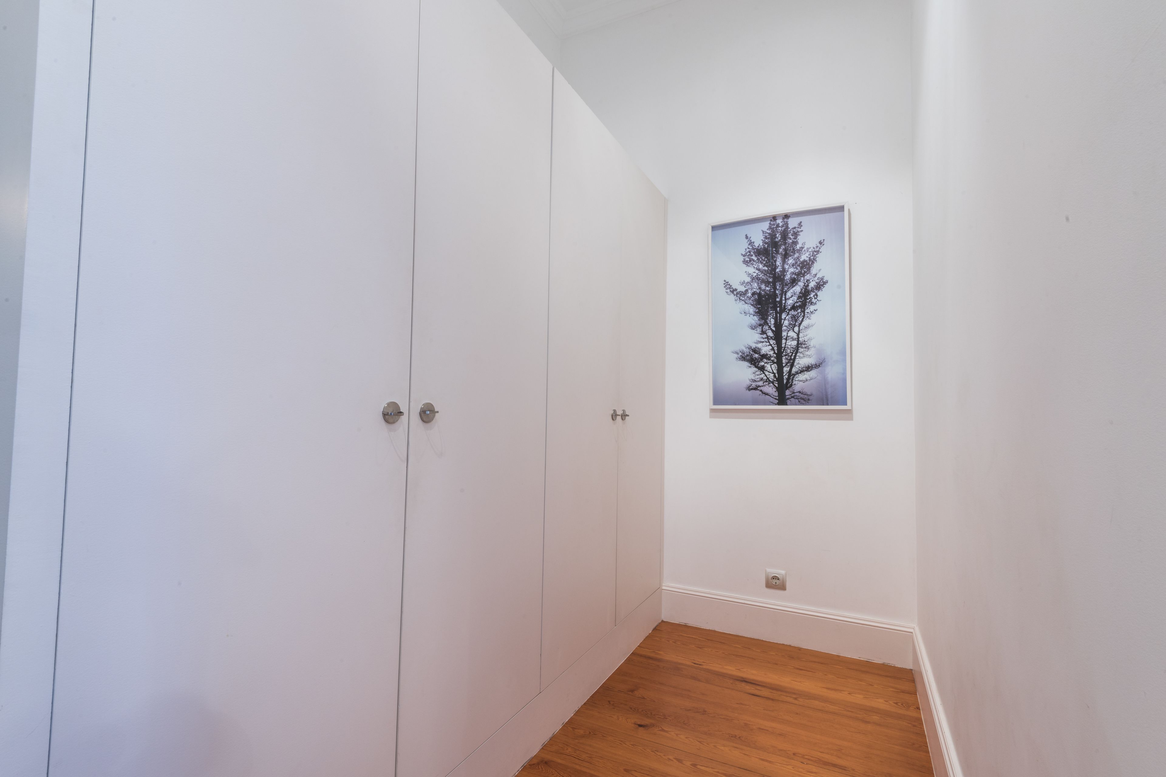 A room with white walls, a wooden floor, and a framed picture of a tree.