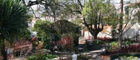 A garden with various plants and a statue.
