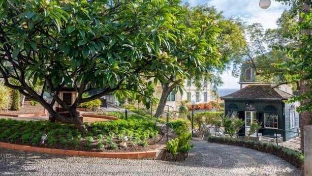 A cobblestone pathway leading to a building with a green roof, surrounded by lush greenery and a clear sky.