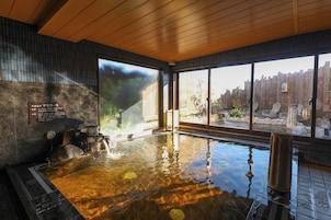 A hot spring bath with a wooden ceiling and stone walls, a view of the outdoors through large windows, and a plaque with information.