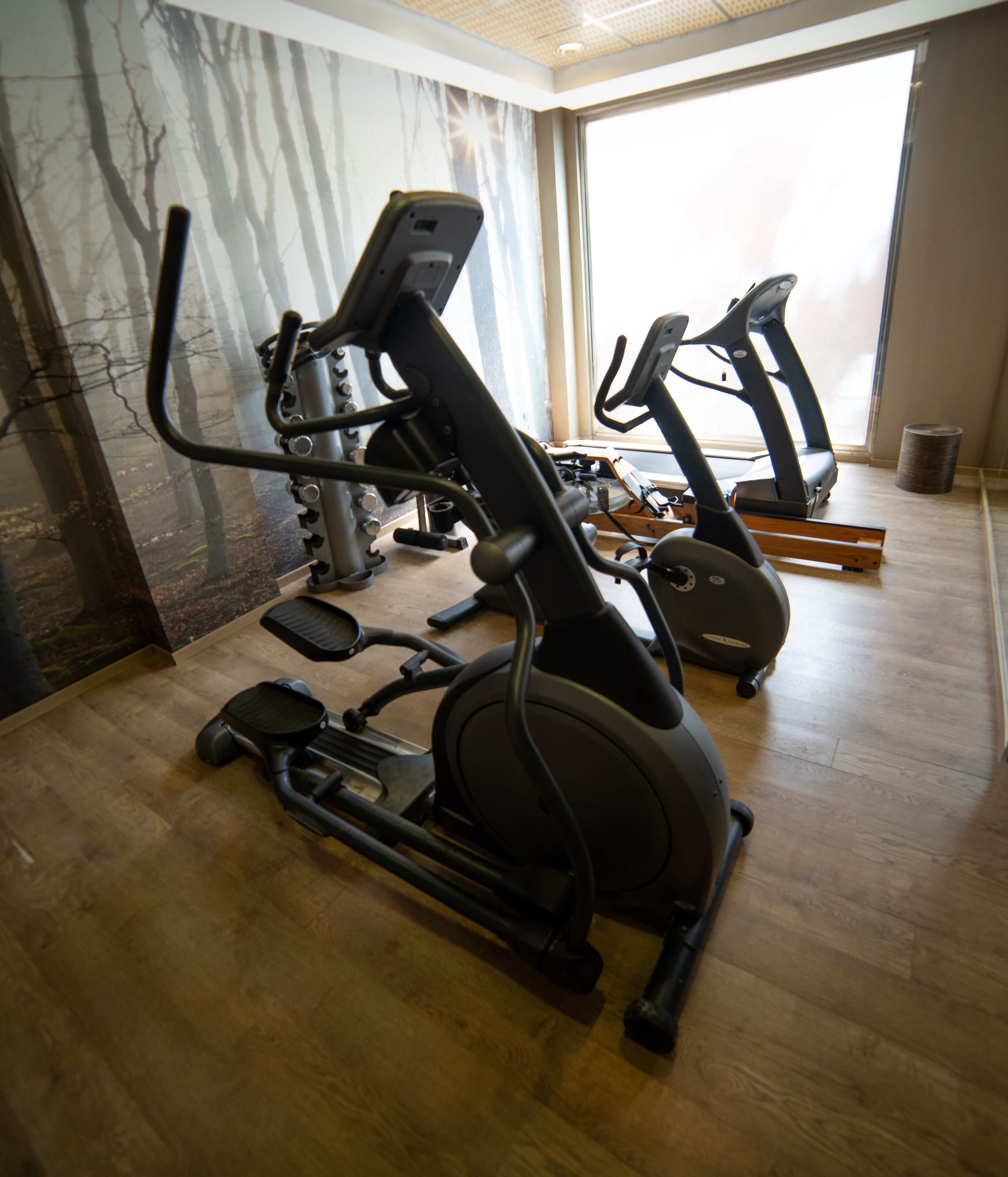 Ein Fitnessraum mit Trainingsgeräten, darunter ein Ergometer, ein Crosstrainer und ein Laufband.