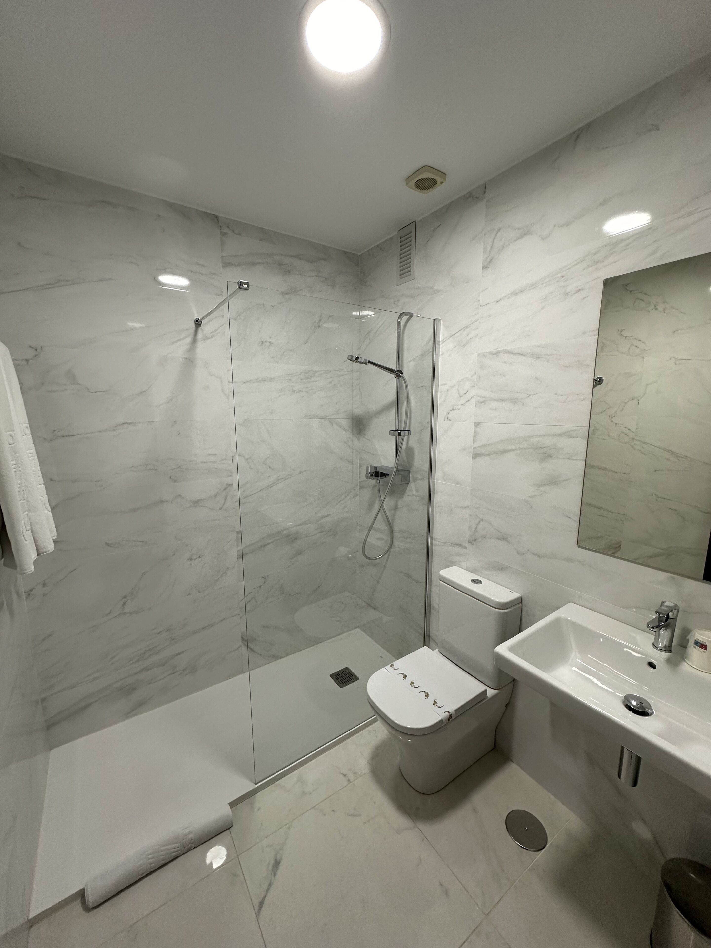 standard double or twin room | bathroom | shower, hair dryer, towels, soap