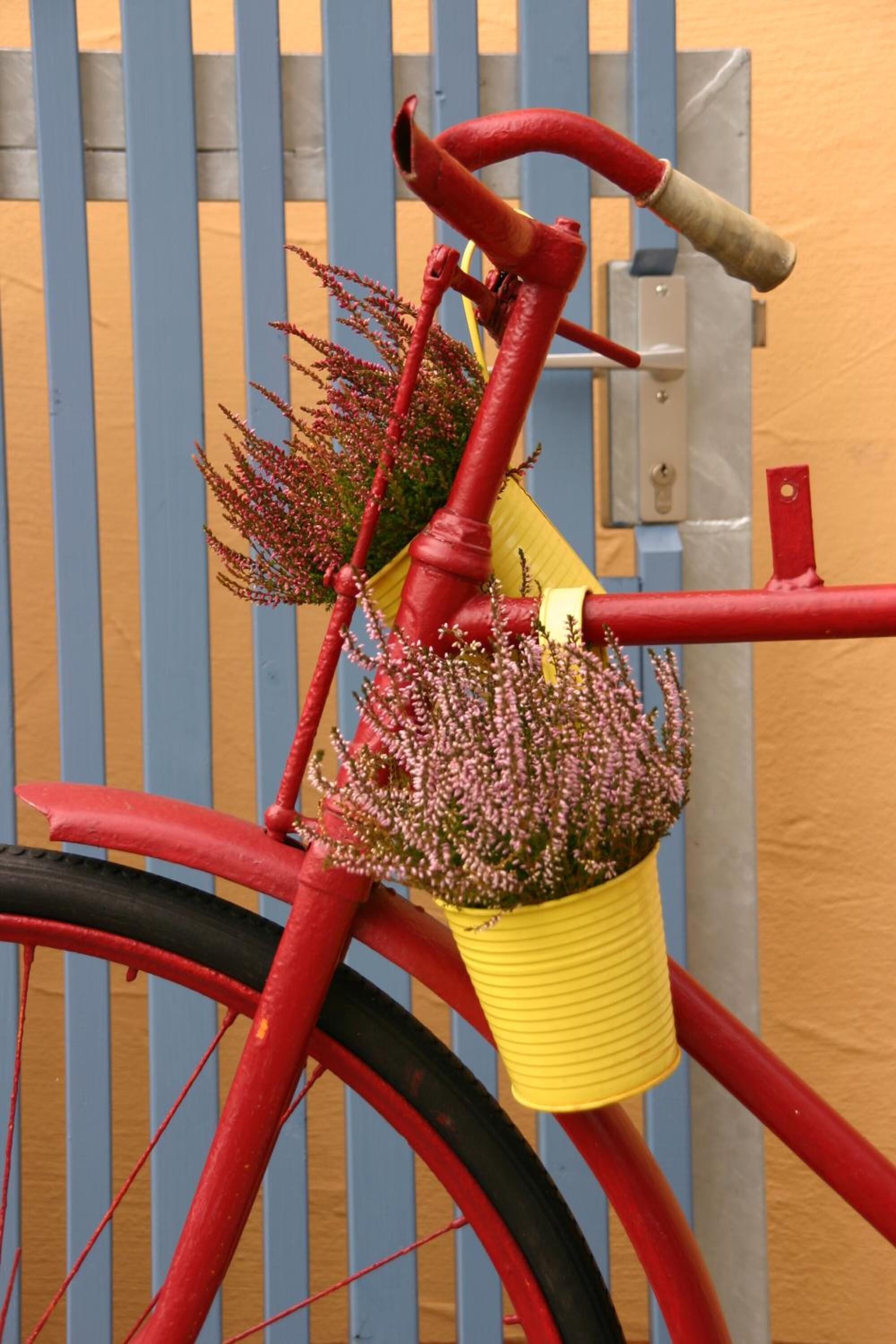 A red bicycle with a yellow basket containing pink flowers.