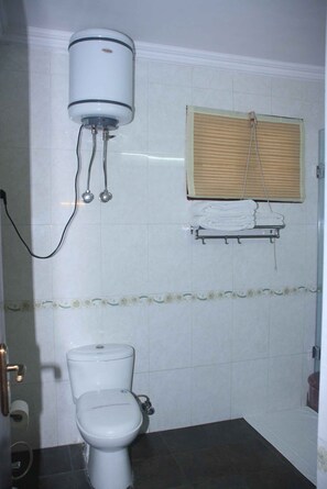 Separate bathtub and shower, hair dryer