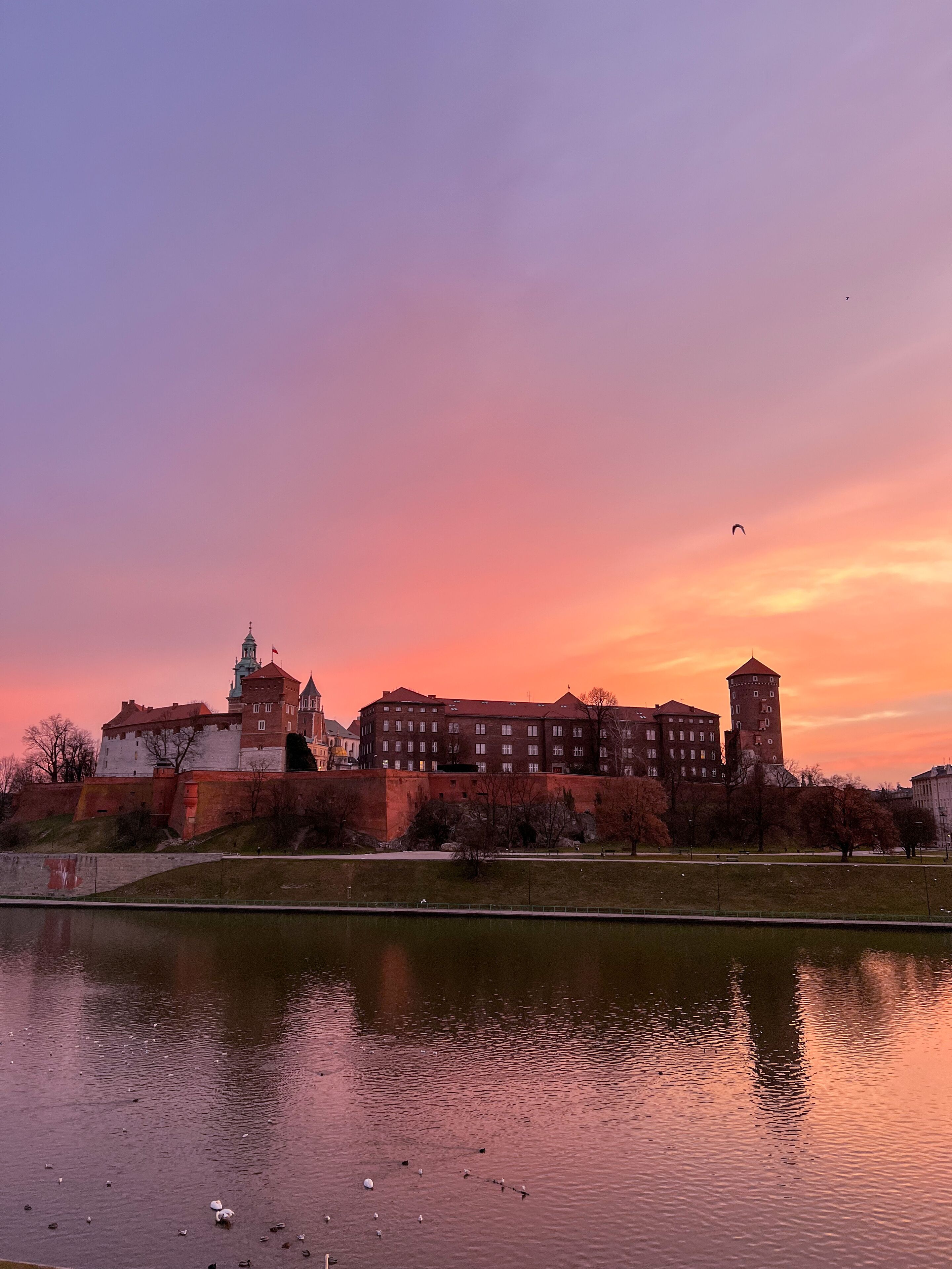 Foto - Hotel Poleski