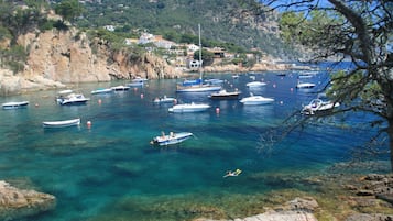 Beach nearby, white sand