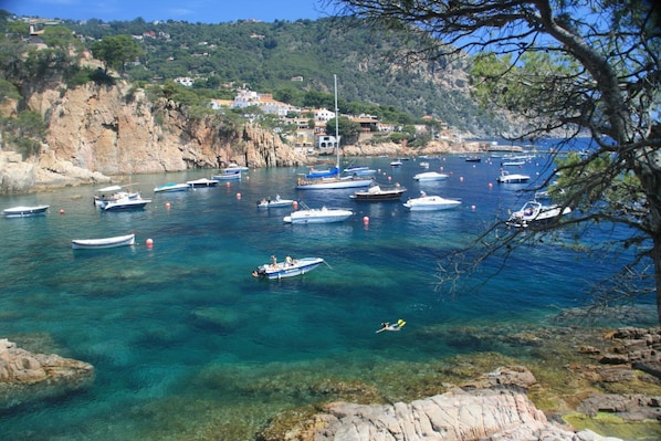 Plage à proximité, sable blanc