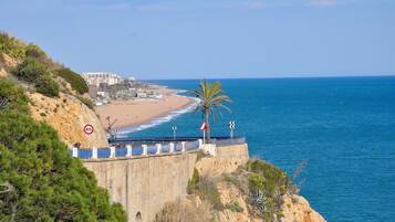Una carretera costera con un cartel de límite de velocidad, una palmera y una playa al fondo.