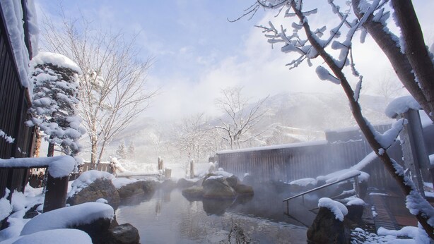 Un onsen japonés tradicional con aguas termales rodeado de rocas y árboles cubiertos de nieve.