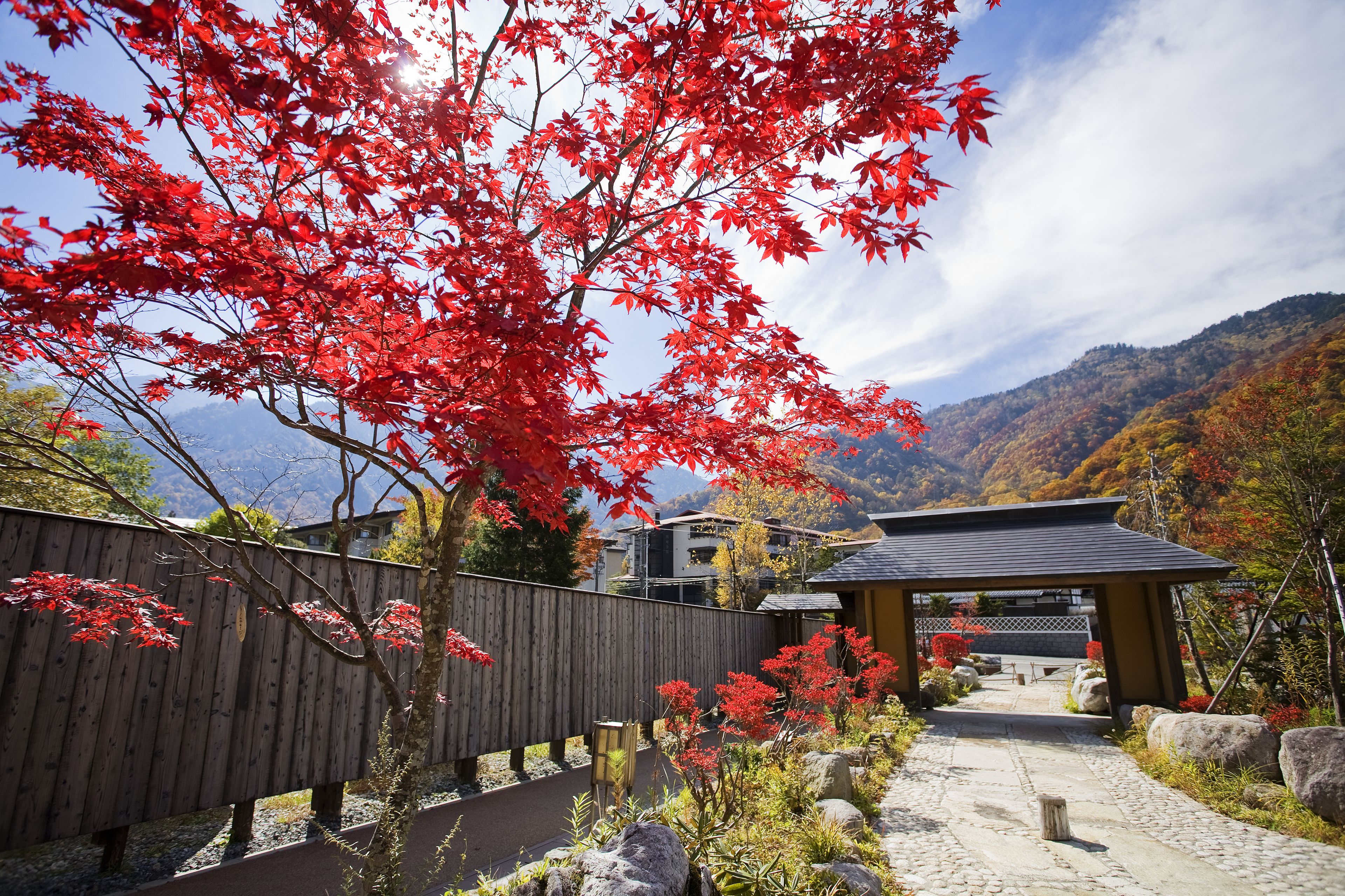 A traditional Japanese garden with a wooden fence, a stone pathway, and a wooden pavilion.