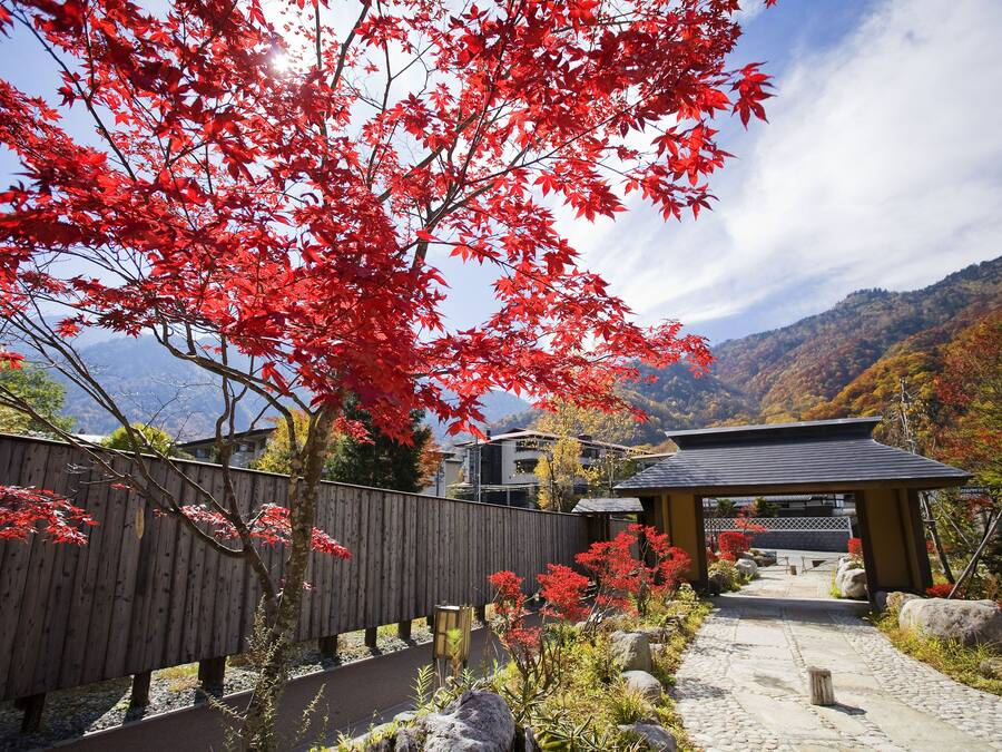 A traditional Japanese garden with a wooden fence, a stone pathway, and a wooden pavilion.