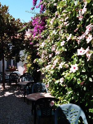 Garden - Hotel Mitus (Canet de Mar)